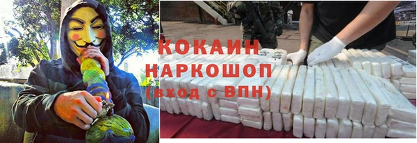 прущие крисы Арсеньев