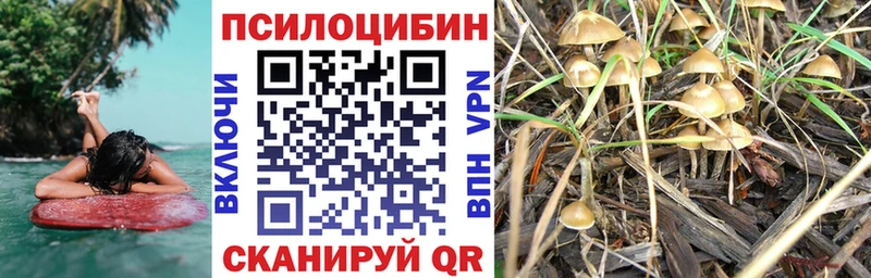 OMG онион  Голицыно  Псилоцибиновые грибы мухоморы 