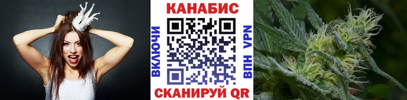 Конопля сатива Голицыно